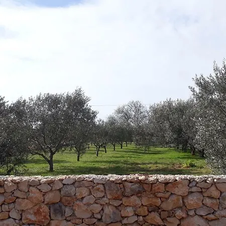 Casa vacanze Happy Garden House
