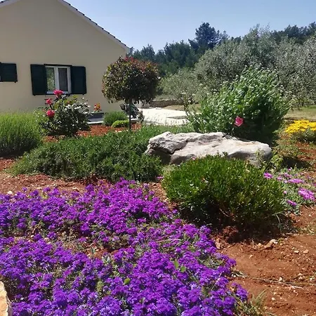 Happy Garden House Casa de Férias *