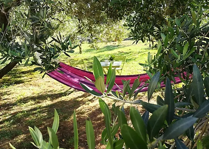 Happy Garden House *