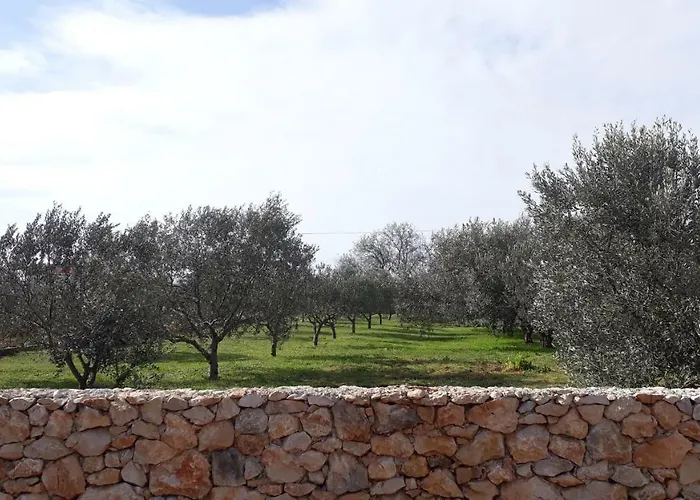 Dom wakacyjny Happy Garden House